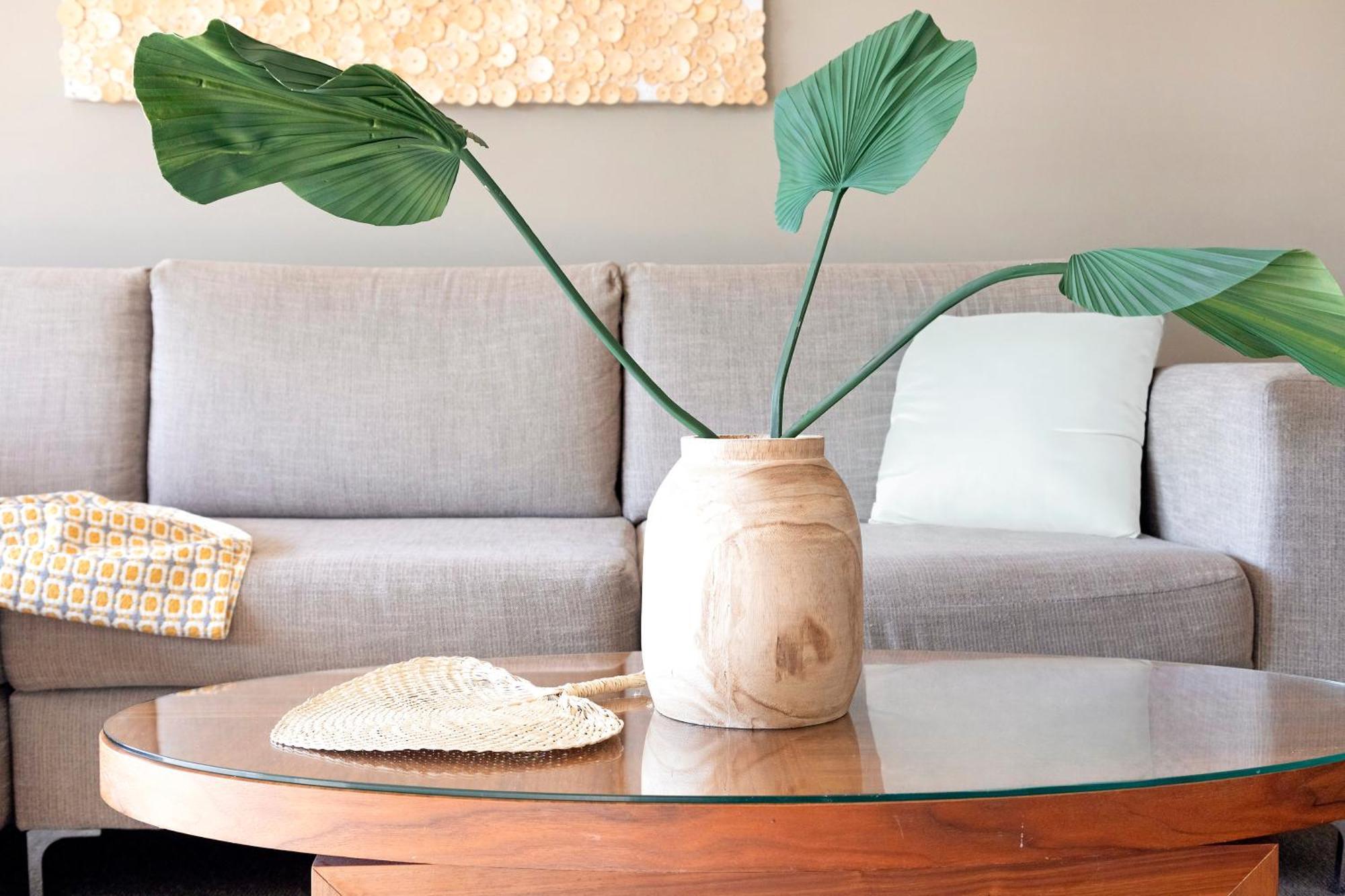 Esplanade Oasis Across Two Contemporary